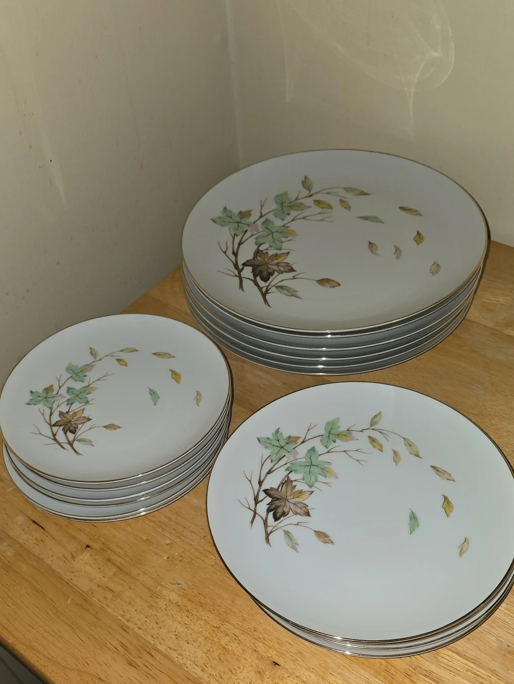 Porcelain Dinner Plate Set By Halsy Fine China